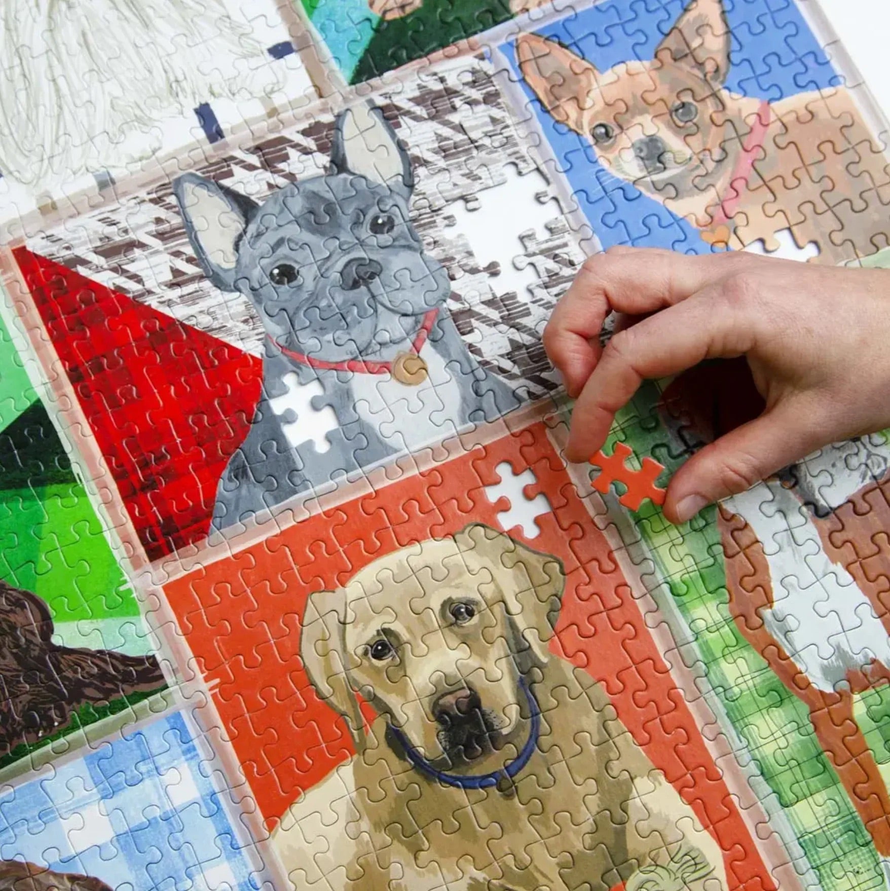 WeRateDogs 1000-Piece Jigsaw Puzzle - 'They're All Good Dogs' Collection