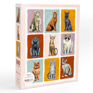 Enjoy the Nine Lives Feline Friends Cats Grid 1,000 Piece Jigsaw Puzzle by 1canoe2, featuring illustrations of nine different cats—each in its own colorful rectangle on the box front—a delightful jigsaw puzzle perfect for feline fans.