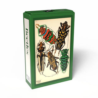 A green box labeled “Beetles | 99 Piece Jigsaw Puzzle” from Penny Puzzle features an illustration of five colorful beetles on the front against a white background, capturing the charm of a vintage mini puzzle inspired by E. A. Séguy’s iconic Art Deco style.