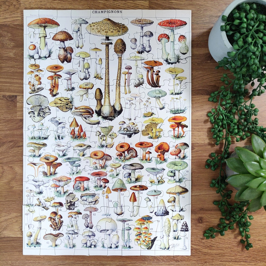 Vintage Mushrooms | 100 Piece Jigsaw Puzzle