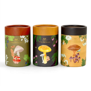 Add a touch of charm to your puzzle collection with the 1canoe2 Midnight Flora & Fauna Set—three cylindrical containers, each adorned with whimsical mushroom illustrations against green, black, and cream floral backgrounds. Perfectly sized for storing each 100-piece jigsaw puzzle or displaying as a delightful nature-inspired accent.