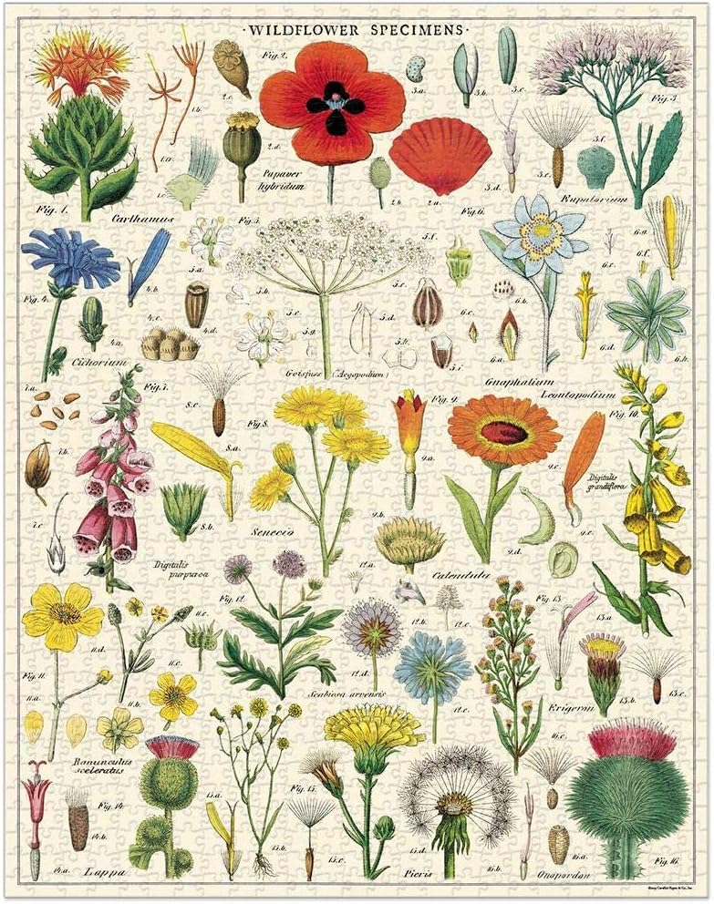 Wildflowers | 1,000 Piece Jigsaw Puzzle