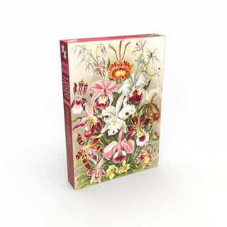 The Penny Puzzle Orchids 500 Piece Jigsaw Puzzle features vibrant orchid illustrations inspired by Ernst Haeckel on a white background, showcased on the box front.