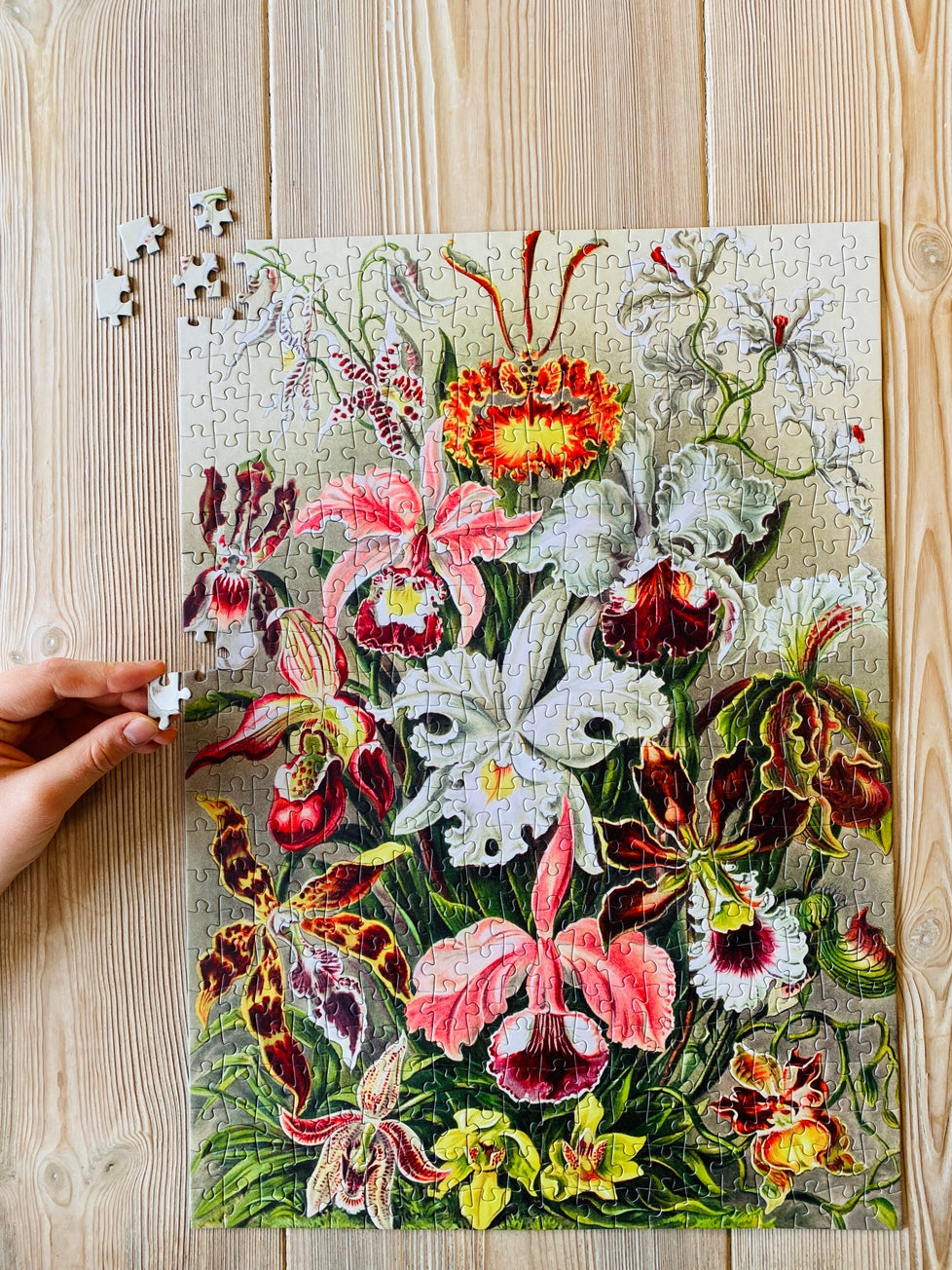 Orchids by Penny Puzzles | 500 Piece Jigsaw Puzzle – Puzzledly