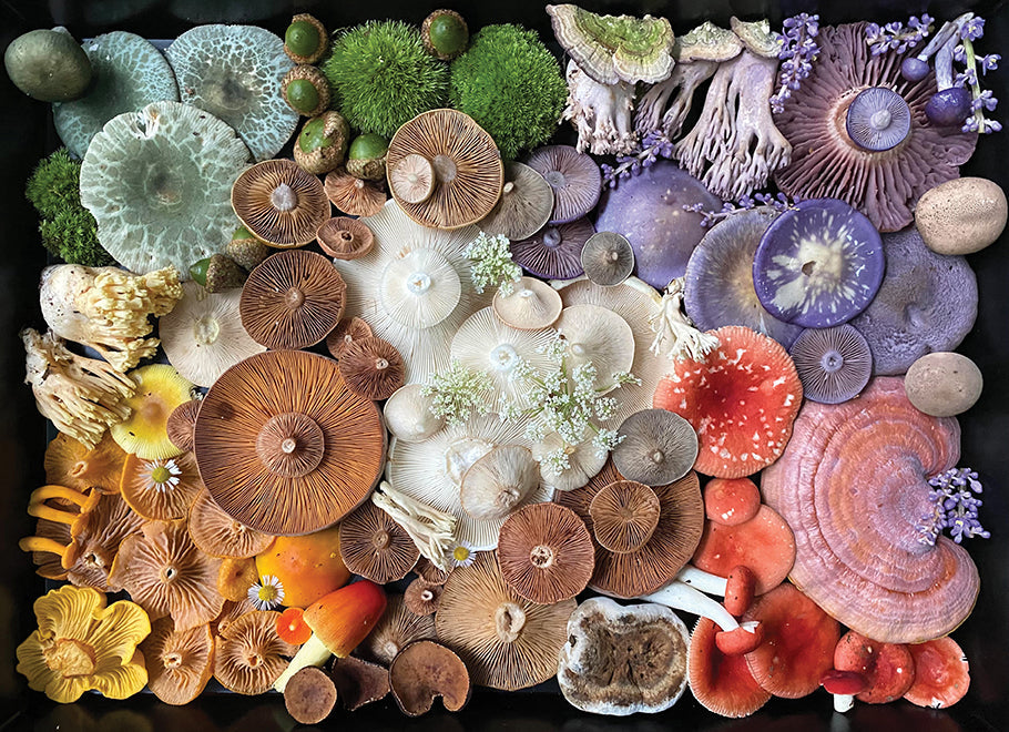 Mushroom Medley | 1,000 Piece Jigsaw Puzzle