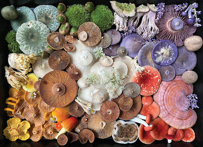 Mushroom Medley | 1,000 Piece Jigsaw Puzzle