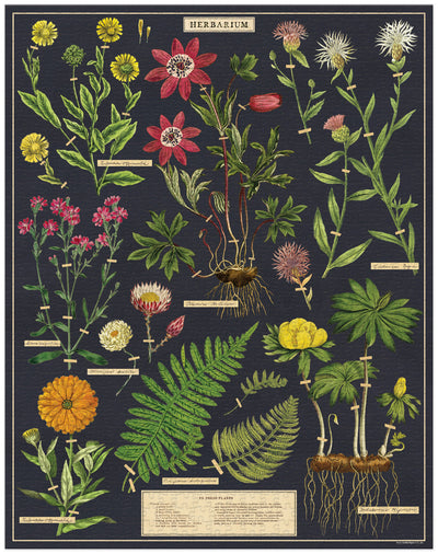 Herbarium | 1,000 Piece Jigsaw Puzzle
