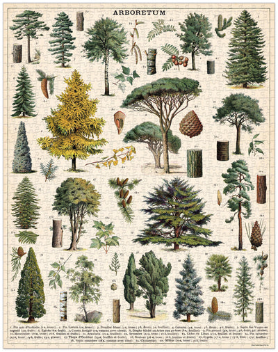 Arboretum | 1,000 Piece Jigsaw Puzzle