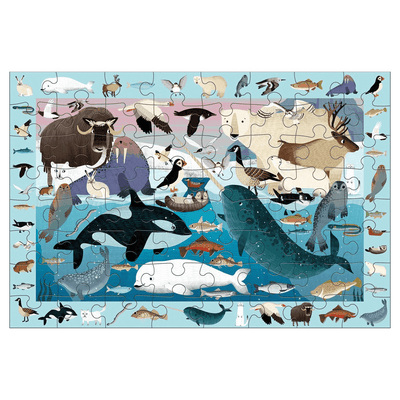 Arctic Life Search & Find | 64 Piece Jigsaw Puzzle