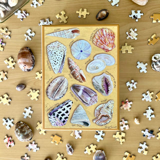 The Hawaii Ocean Treasures 1,000 Piece Jigsaw Puzzle by Surf Shack Puzzles features illustrated seashells on a yellow background, shown assembled on a table with loose puzzle pieces and real seashells around it.