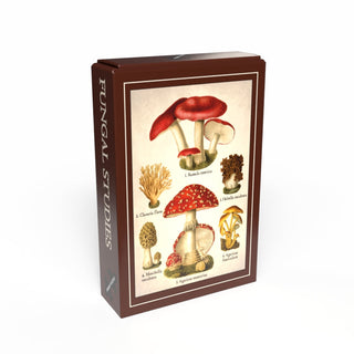 The Penny Puzzle Fungal Studies | 99 Piece Jigsaw Puzzle comes in a box with vintage-style illustrations of various mushroom species on the front, reminiscent of a charming minipuzzle.