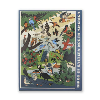 An illustrated cover for Bird Collective’s "Birds of Eastern North America | 1,000 Piece Jigsaw Puzzle" features a variety of bird species in nature, with "Birds of Eastern North America" printed on the side.