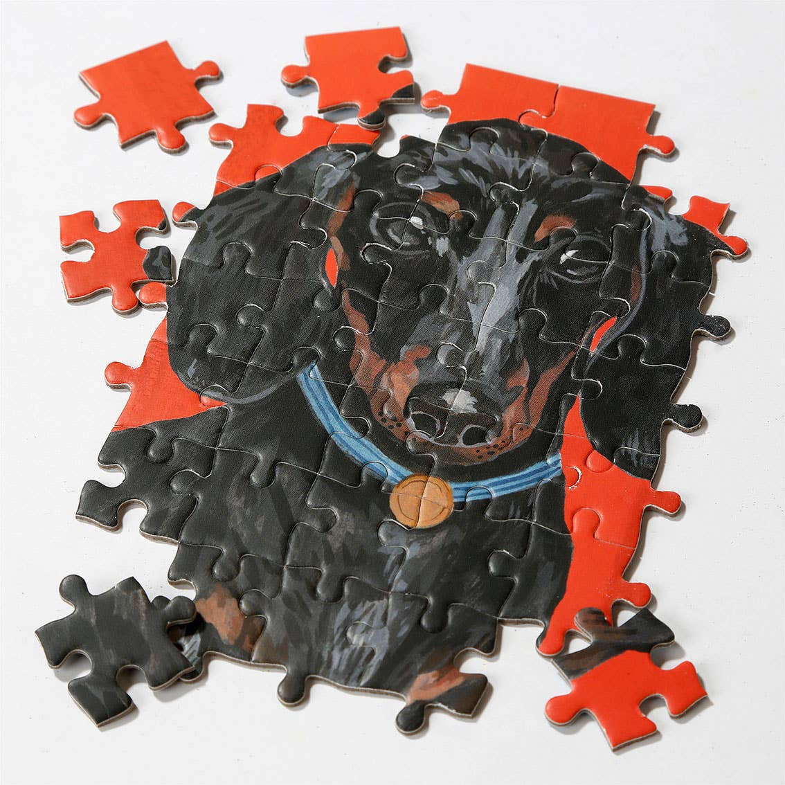 Dachshund | 100 Piece Jigsaw Puzzle