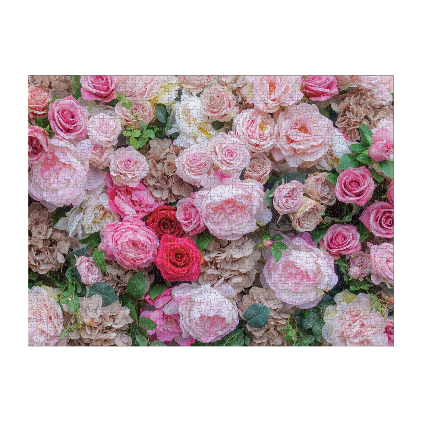 English Roses | 1,000 Piece Jigsaw Puzzle