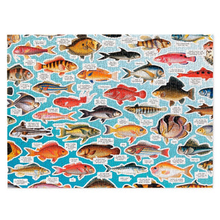 Judgy Fish | 1,000 Piece Jigsaw Puzzle