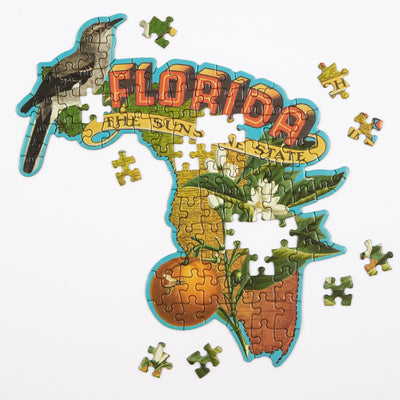 Florida | 100 Piece Jigsaw Puzzle