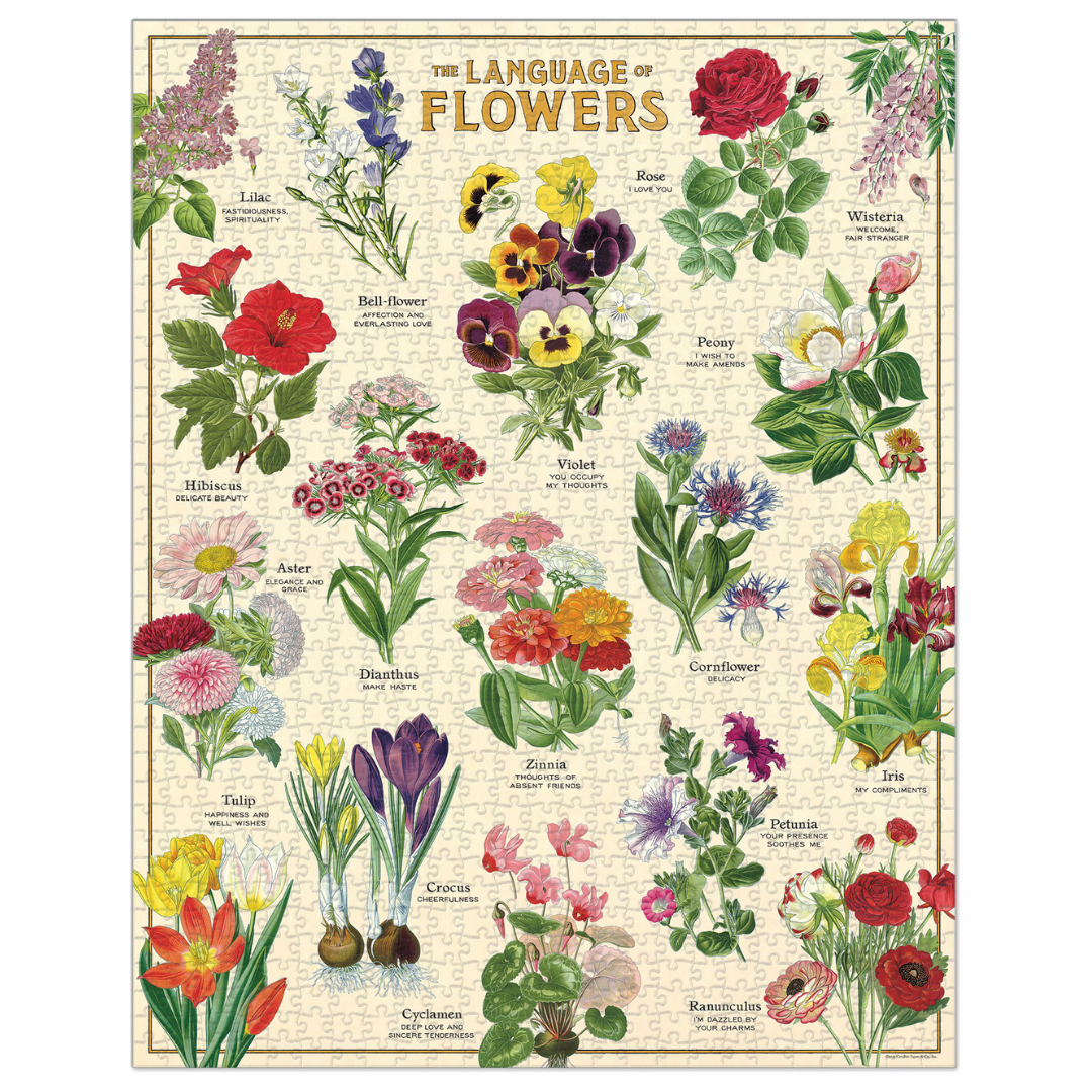 What is Flower Language?