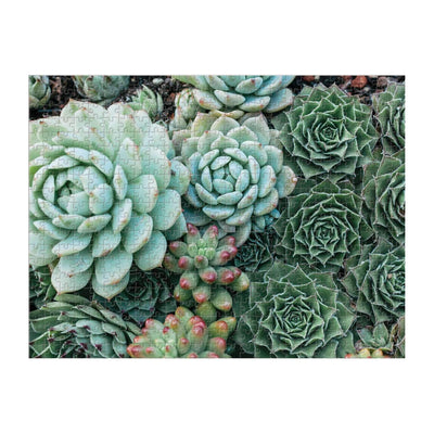 Succulent Garden Double-Sided | 500 Piece Jigsaw Puzzle