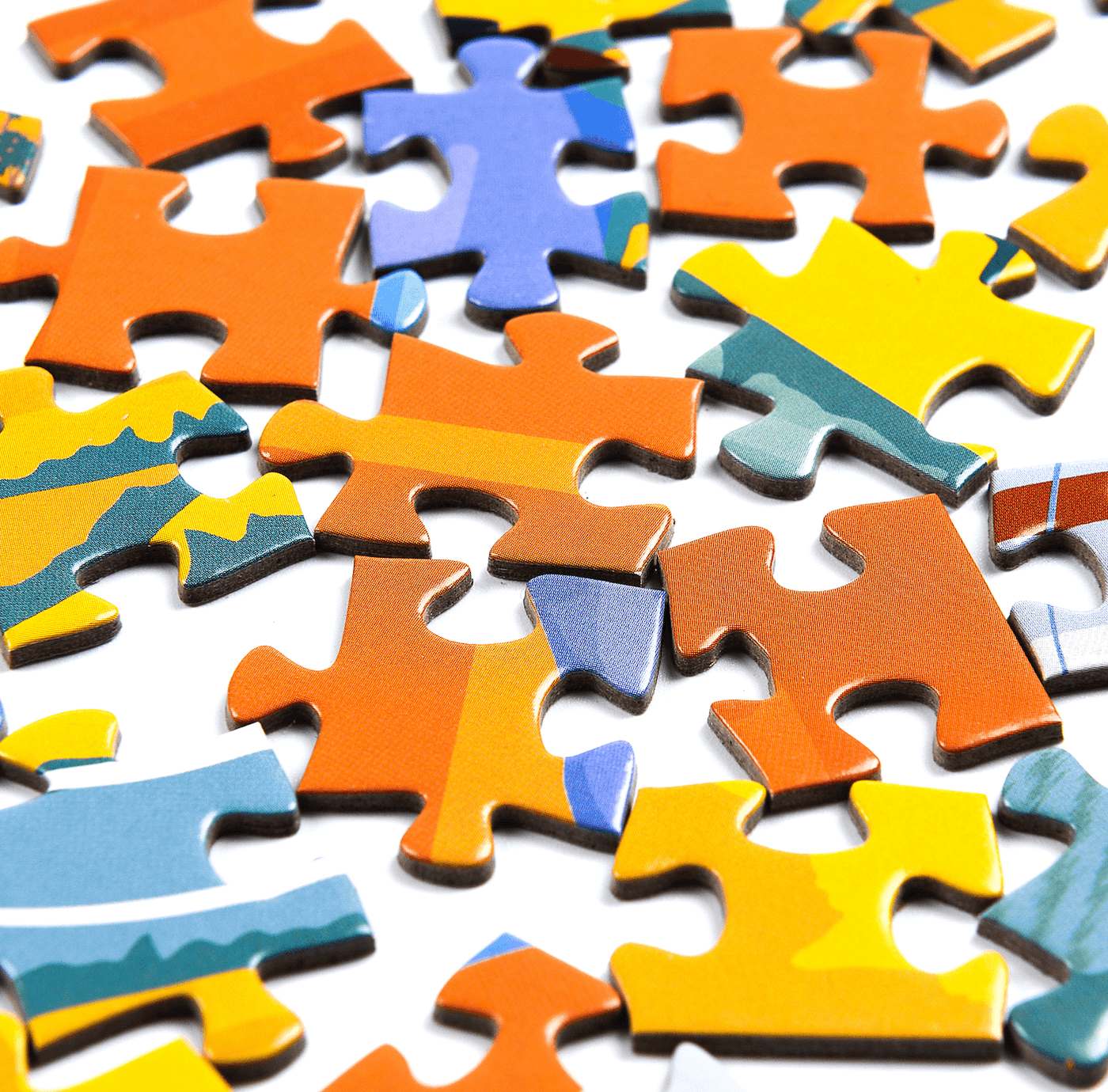 AIRPLANE | 1,000 Piece Jigsaw Puzzle