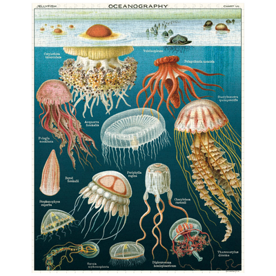 Jellyfish | 1,000 Piece Jigsaw Puzzle