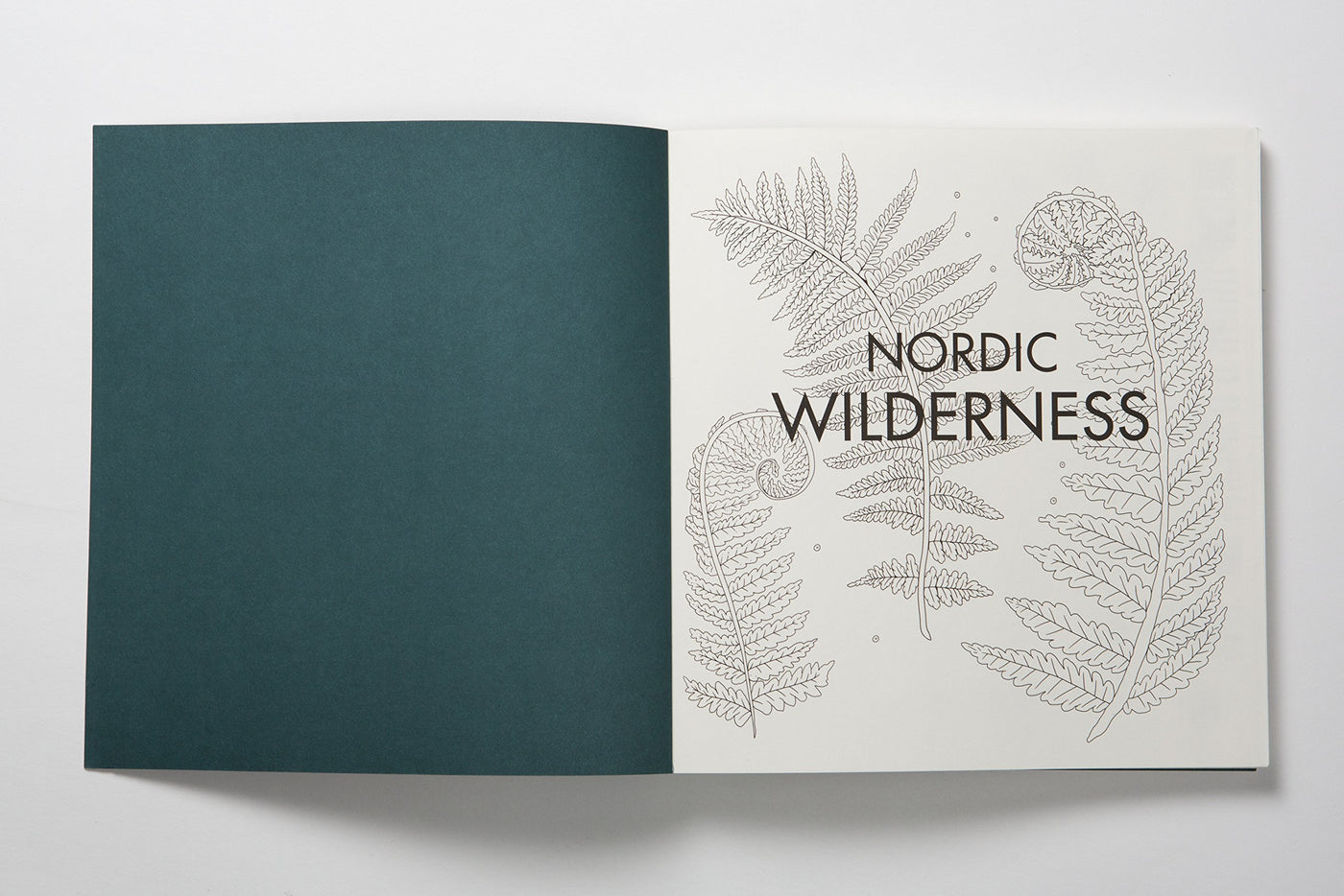 Nordic Wilderness | Coloring Book