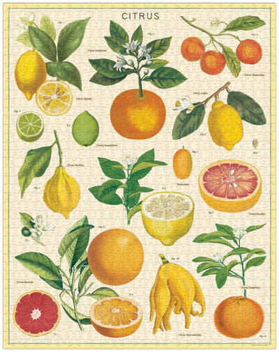 Citrus | 1,000 Piece Jigsaw Puzzle
