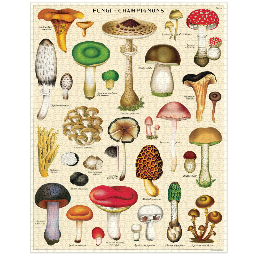 Mushrooms | 1,000 Piece Jigsaw Puzzle