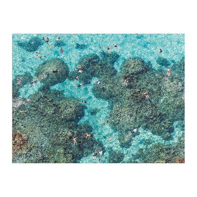 Gray Malin The Beach | 500 Piece Jigsaw Puzzle