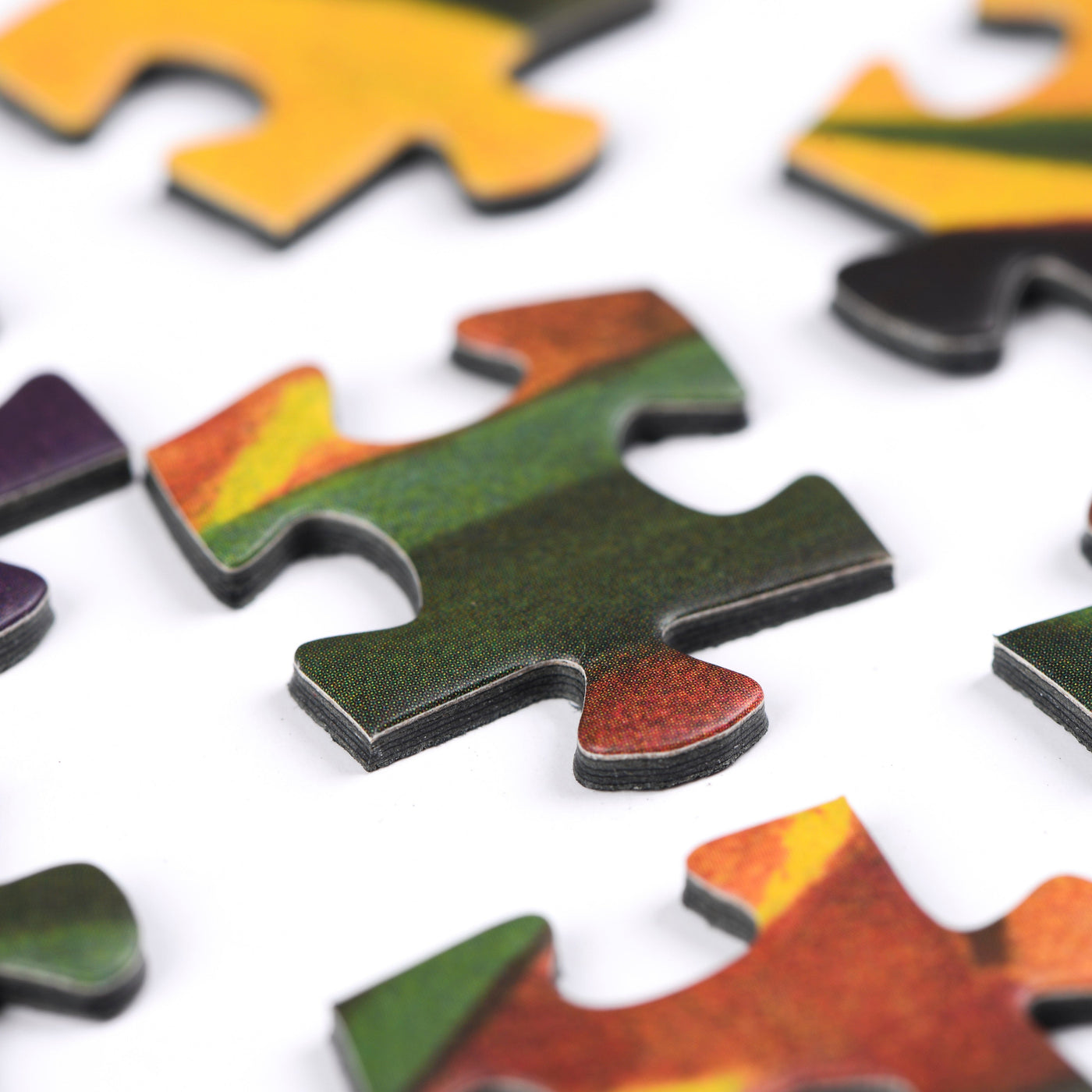 QUEENSLAND | 1,000 Piece Jigsaw Puzzle
