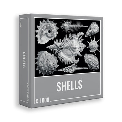 Shells | 1,000 Piece Jigsaw Puzzle
