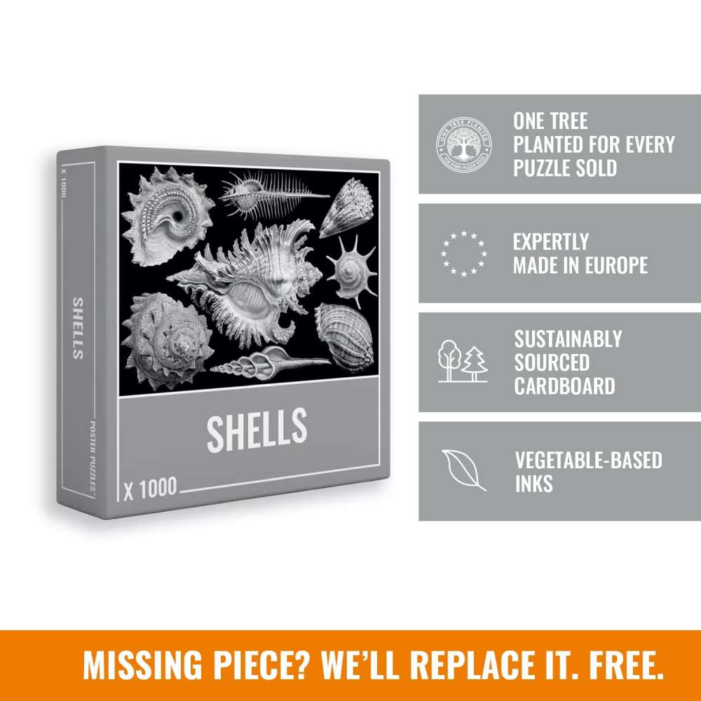 Shells | 1,000 Piece Jigsaw Puzzle