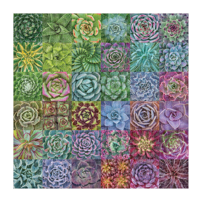 Succulent Spectrum | 500 Piece Jigsaw Puzzle
