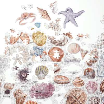 The Beachcomber's Companion | 1,000 Piece Jigsaw Puzzle